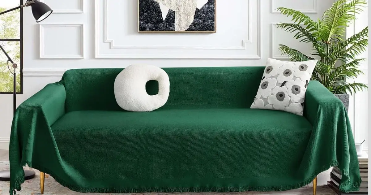 Best Couch Fabric For Dogs Review For 2024