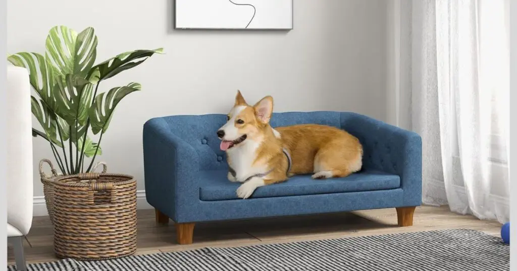 best couch material for dogs