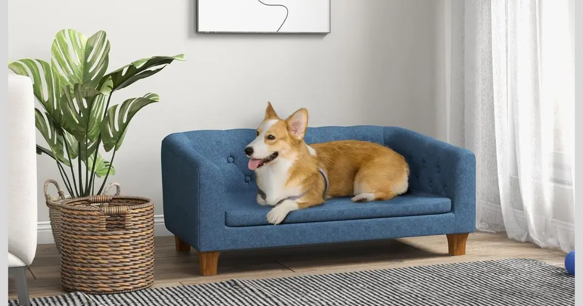 The 10 Best Couch Material For DogsFriendly Review