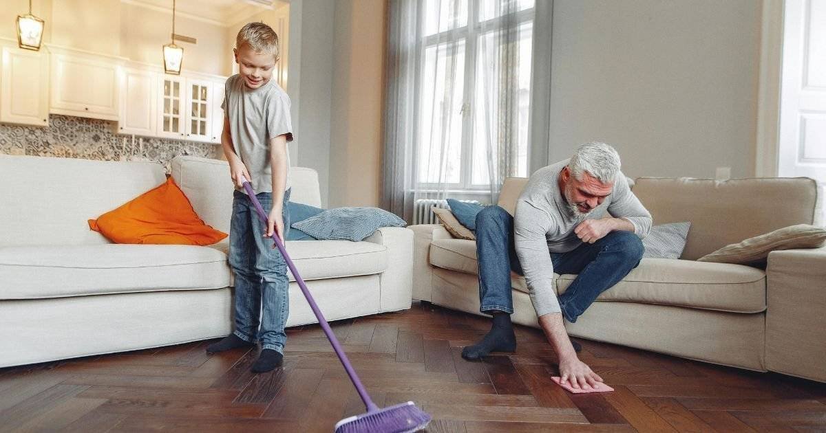 How to Clean Poop off Couch