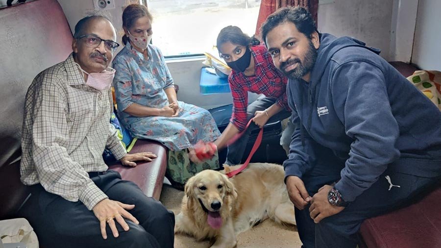 Are Dogs Allowed On Trains? Ultimate Guide for Pet Owners