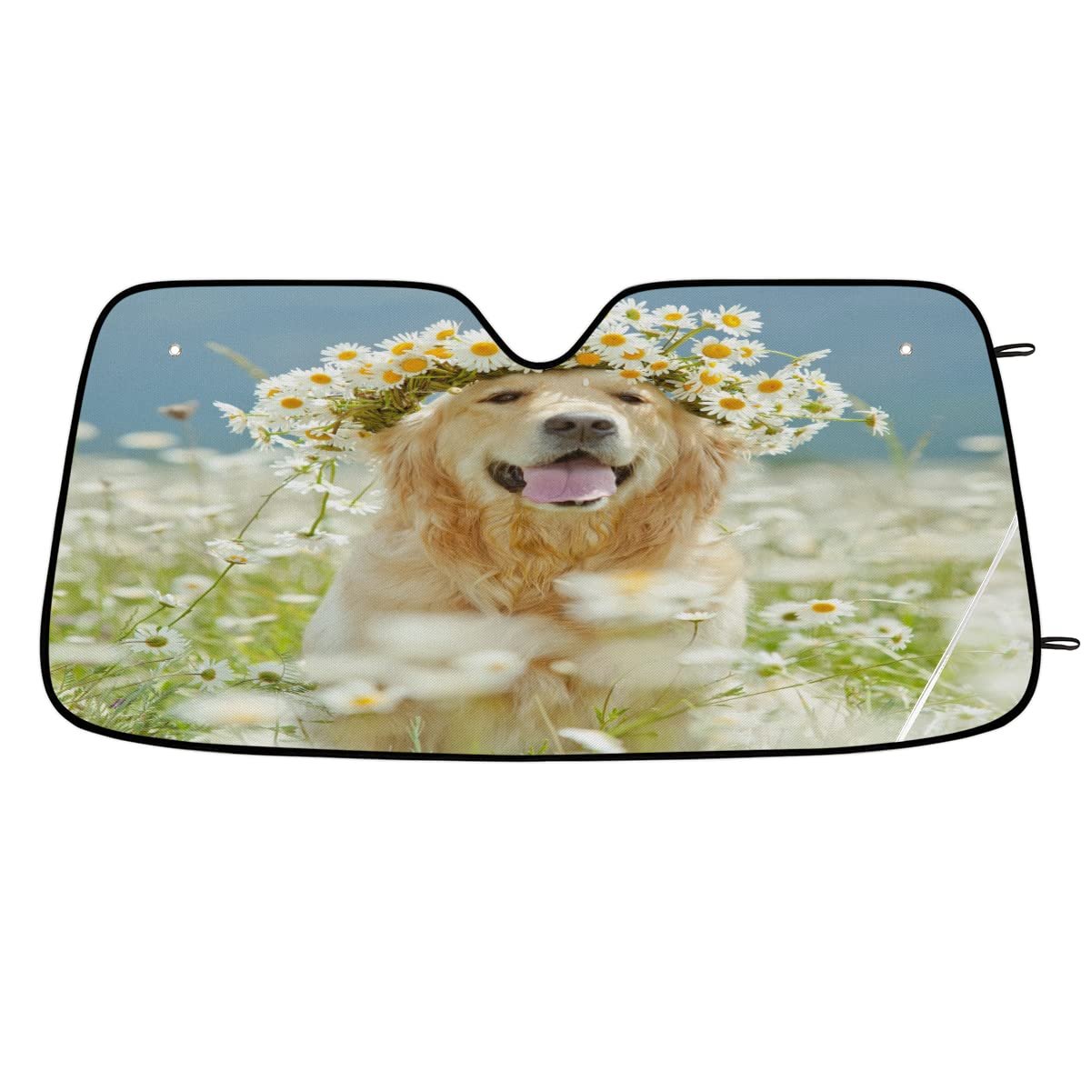 Block Window View For Dogs: 5 Easy & Safe Solutions 2 Block Window View For Dogs: 5 Easy & Safe Solutions