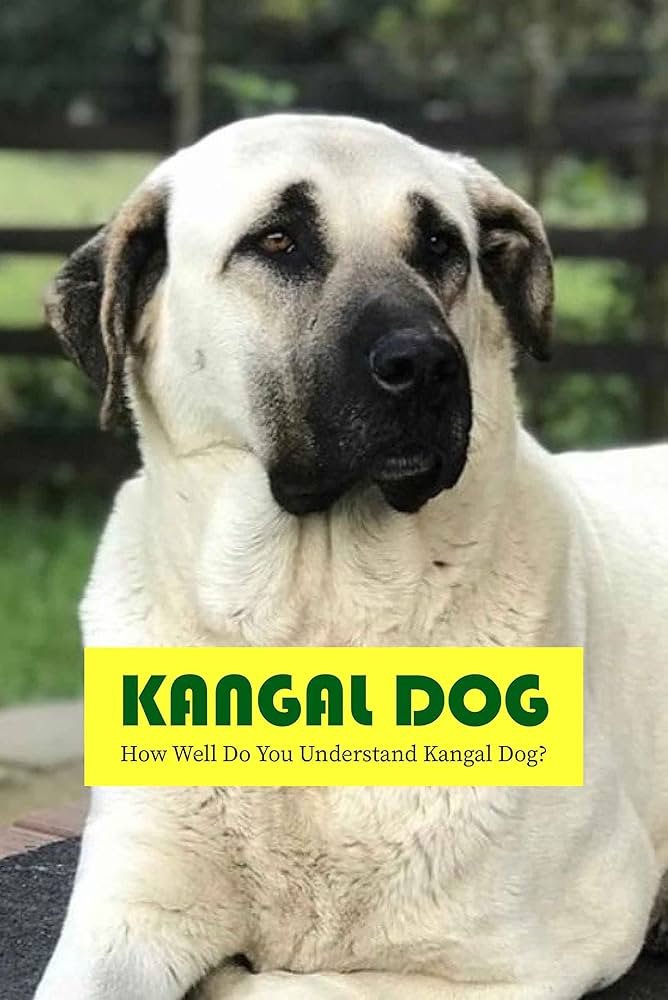 Kangal Dog Price In India: What You Need to Know