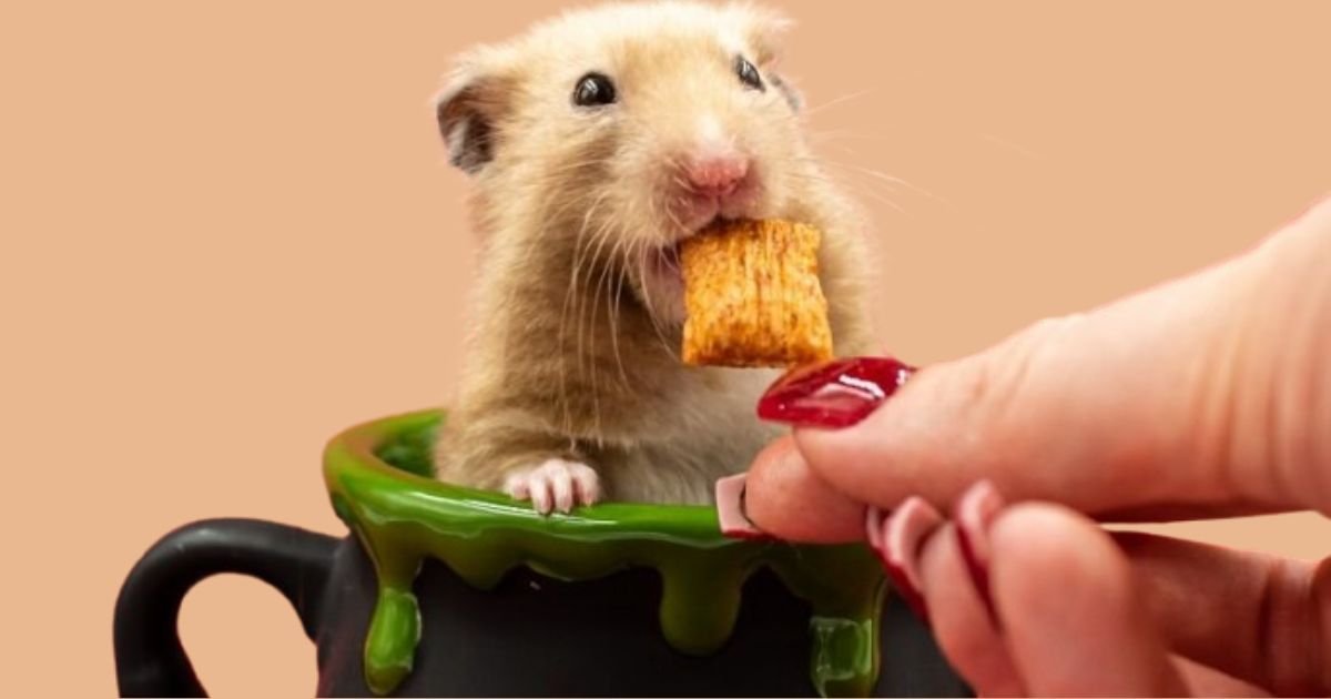 How Long Can A Hamster Go Without Food Water: Survival Facts