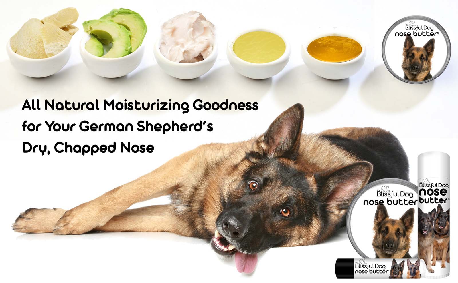 Why Is My German Shepherd So Itchy? Unraveling the Causes