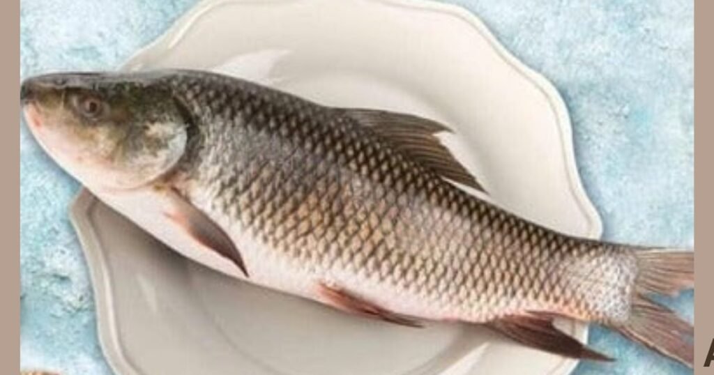 Rohu Or Katla Which Fish Is Tasty In India