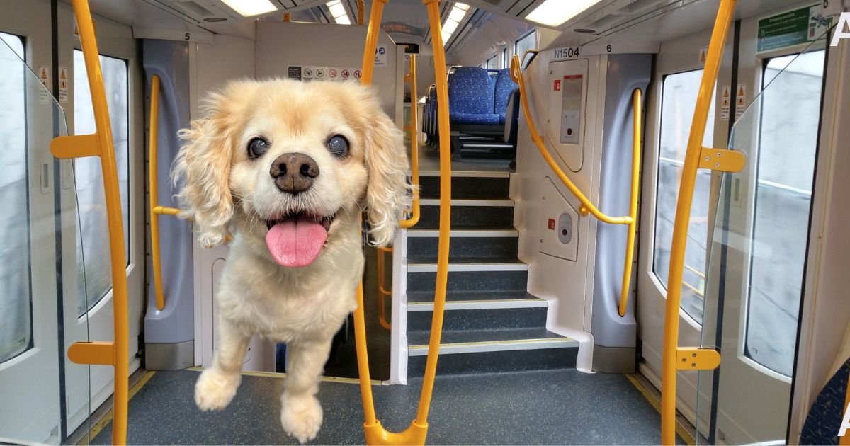 Are Pets Allowed In Trains