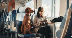 Are Dogs Allowed On Trains