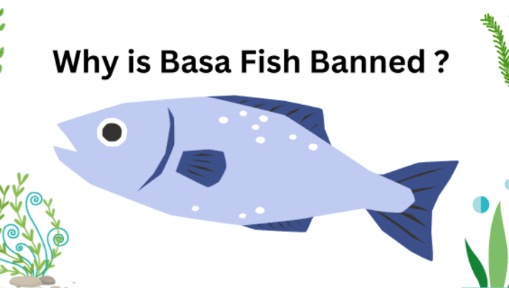 Why Is Basa Fish Banned? Unveiling the Truth