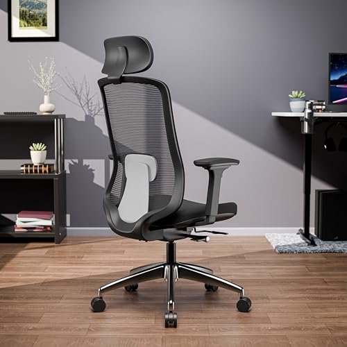 Green Soul Cosmos Pro Premium Office Chair | High Back | Mesh Ergonomic Home Office Desk Chair (Black) | Installation Provided| 5 Years Warranty