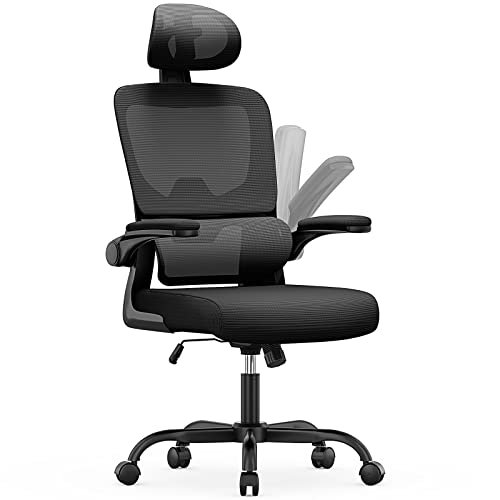 naspaluro Office Chair, Ergonomic Office Chair with Lumbar Support, High Back Home Office Desk Chair Computer Chair, Adjustable Headrest and Flip-up Armrests, Swivel Mesh Task Chair-Black