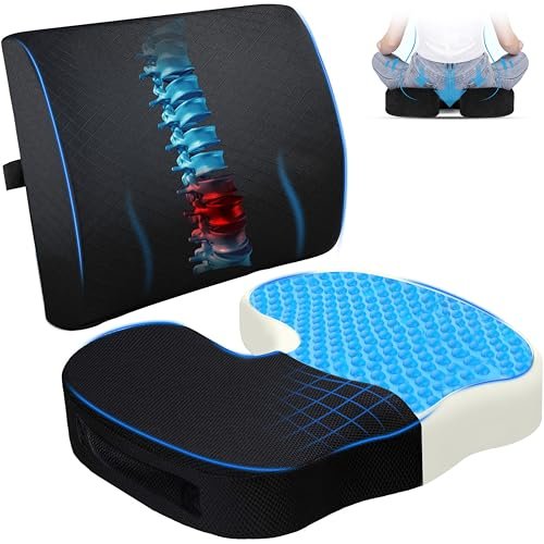 EcoNour Gel Seat Cushion & Lumbar Support Pillow | Back Support for Office Chair, Gaming, Wheel Chair & Car Seat | Gel Seat Cushion for Back and Butt Support, Tailbone,Sciatica & Coccyx Pain Relief