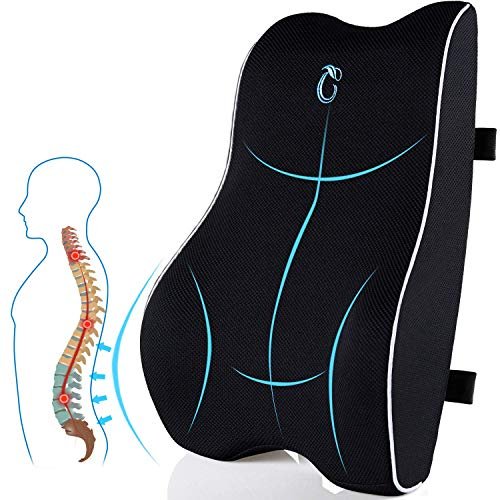 Lumbar Support Pillow for Office Chair, Memory Foam Cushion with Updated 3D Mesh Cover for Back Pain Relief, Ideal for Computer/Desk Chair, Car Seat, Gaming Chair, Recliner