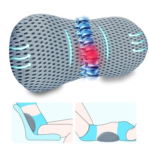 kasney Lumbar Support Pillow, Memory Foam Back Support Pillow for Office Chair, Car Seat, Gaming Chair, Recliner and Bed, Neo Cushion for Low Back Pain Relief (Mesh, Gray)