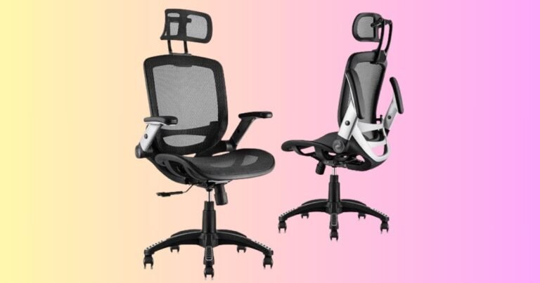 Best Chair for Elderly With Back Pain