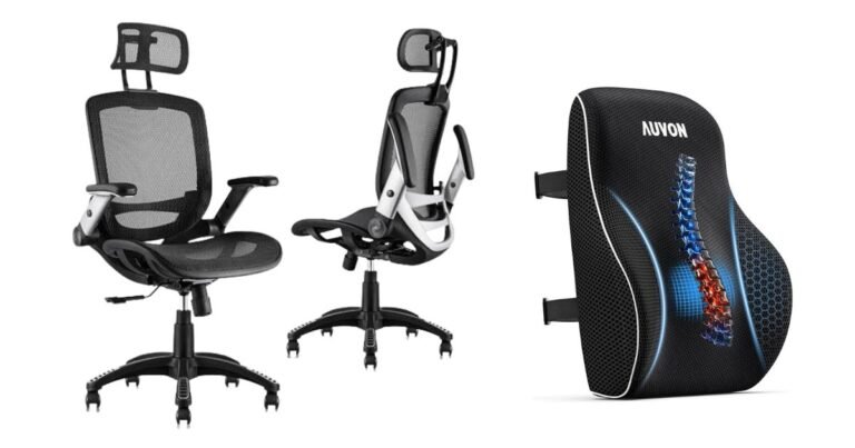 Best Herman Miller Chair for Back Pain
