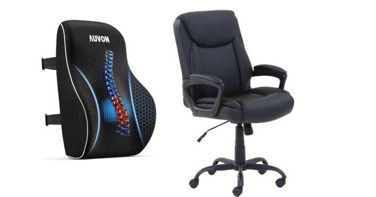 Best Desk Chair for Lower Back Problems