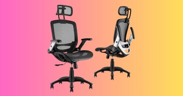 Best Computer Chair for Lower Back Pain