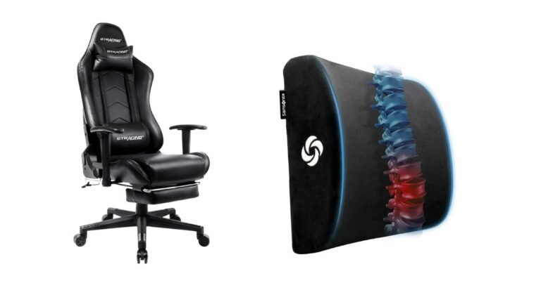 Best Home Chair for Back Pain Relief