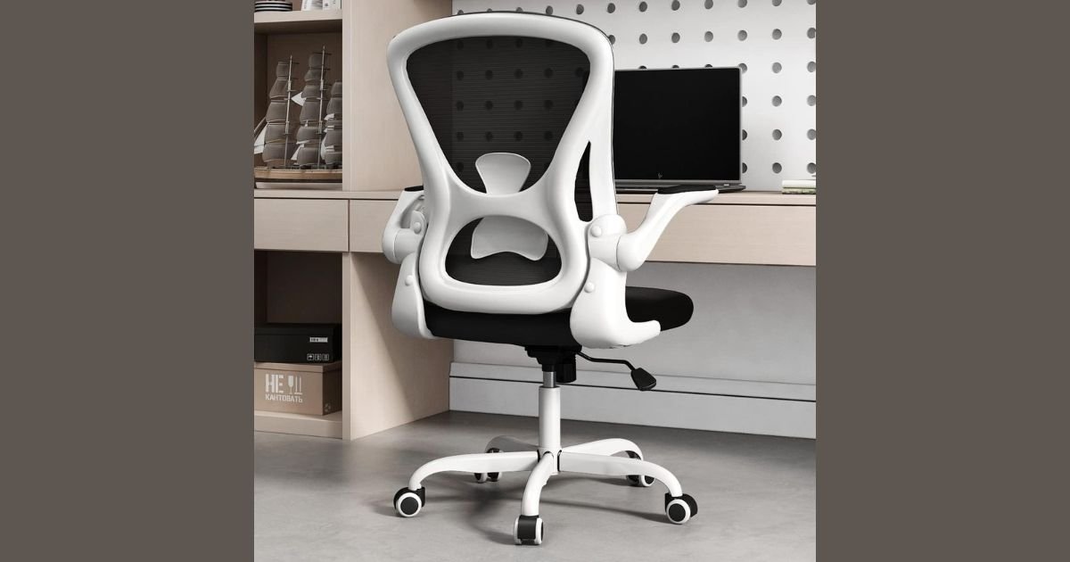 Best Desk Chair for Bad Lower Back