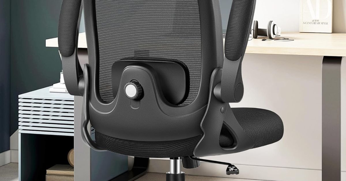 What Chair is Best for Your Back