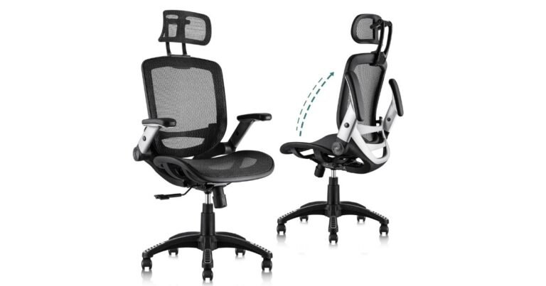 Best Ergonomic Chair for Back and Neck Pain