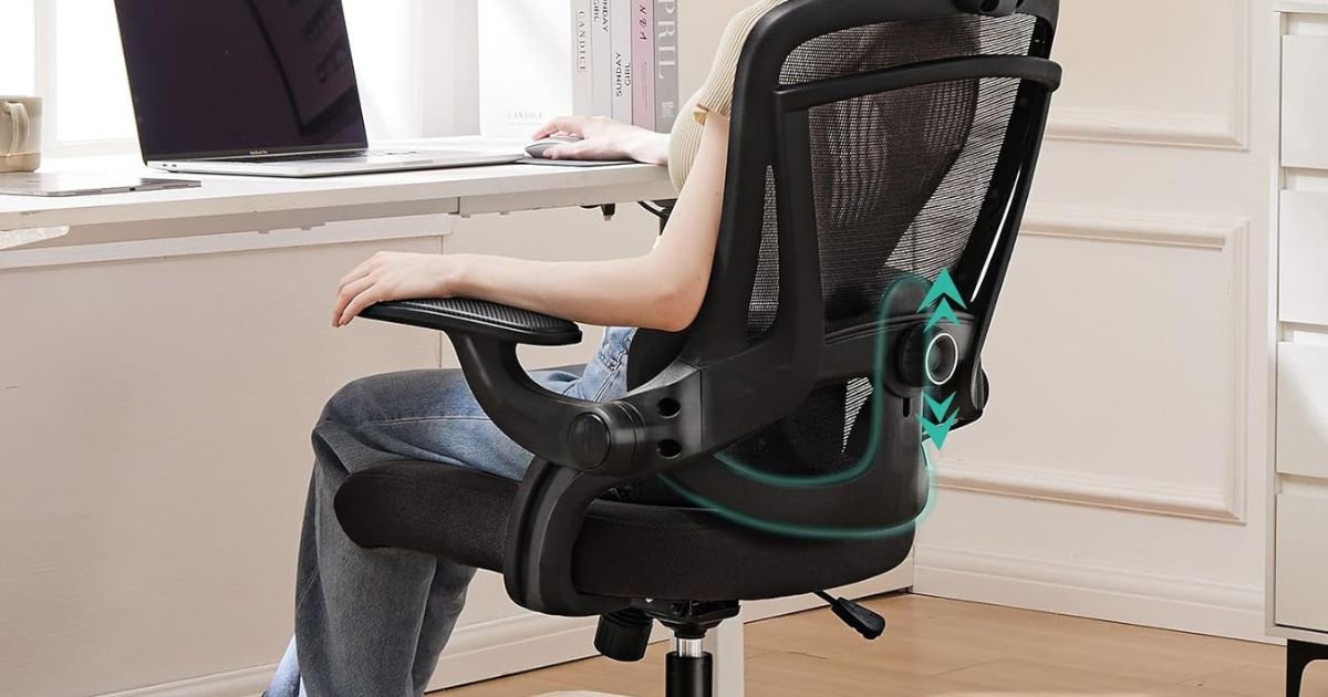 What Type of Chair is Best for Your Back