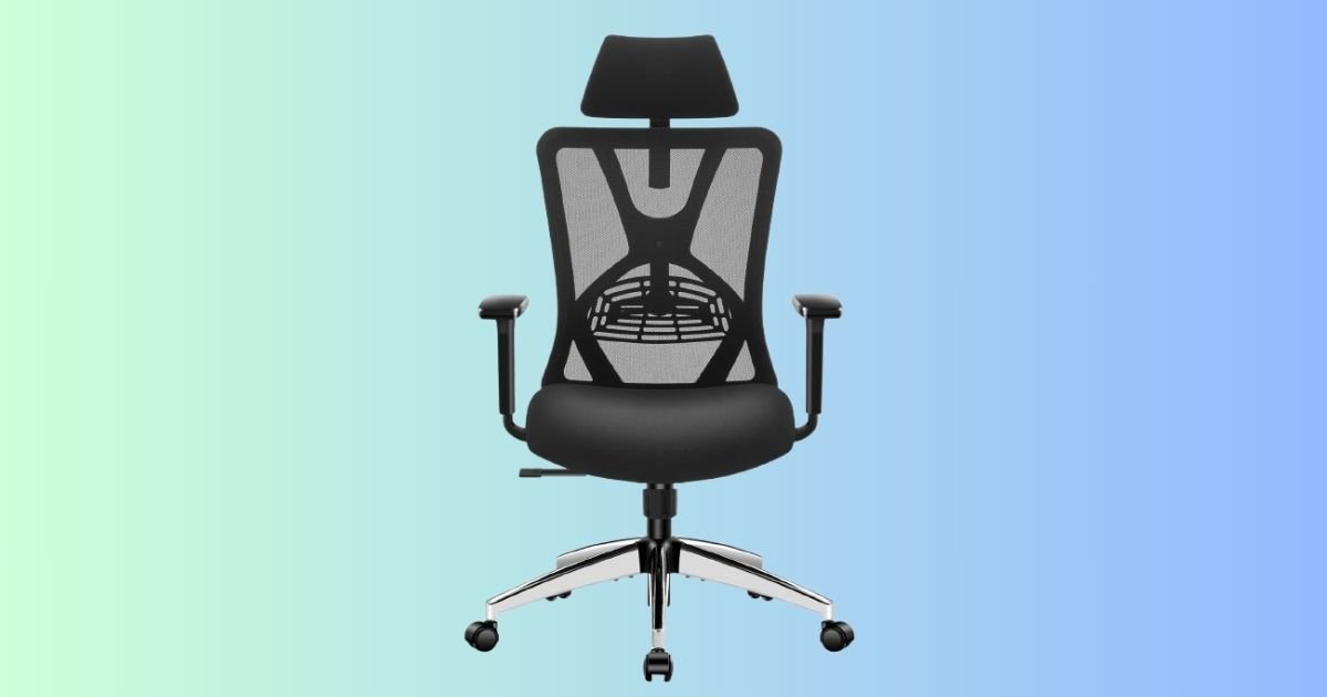 What Kind of Chair is Best for Your Back