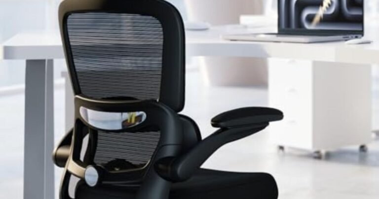 Best Desk Chair for Back Pain And Posture