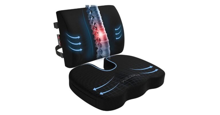 Best Chair Support for Lower Back Pain