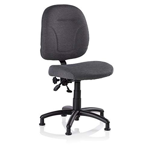 Reliable SewErgo 200SE Ergonomic Task Chair Made in Canada with Adjustable Back Sewing Chair, Height Adjustable, Contoured Cushion, 250Lb Capacity