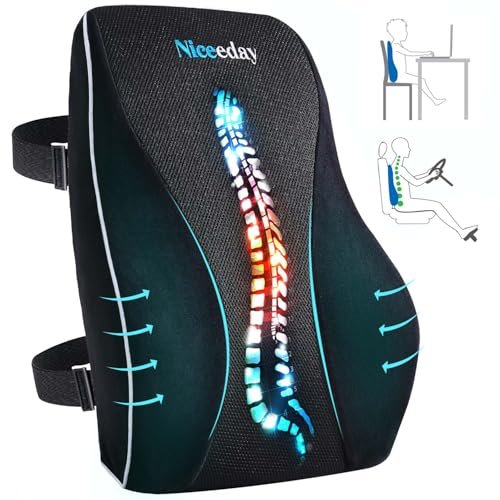 Lumbar Support Pillow for Office Chair Car Lumbar Pillow, Memory Foam Back Cushion with Breathable 3D Mesh Lumbar Support Orthopedic Backrest for Lower Back Pain Relief Back Pillow for Car Seat Reclin