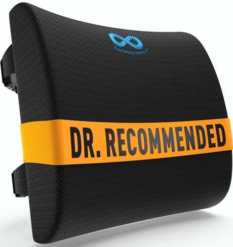 Everlasting Comfort Lumbar Support Pillow for Office Chair - Memory Foam Back Cushion for Chair, Car, Couch - Lumbar Pillow Promotes Better Posture, Back Pain Relief - Ideal for Gaming and Desk Chairs