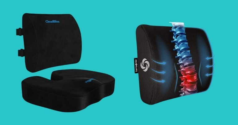 Best Office Chair for Back Pain and Neck Pain
