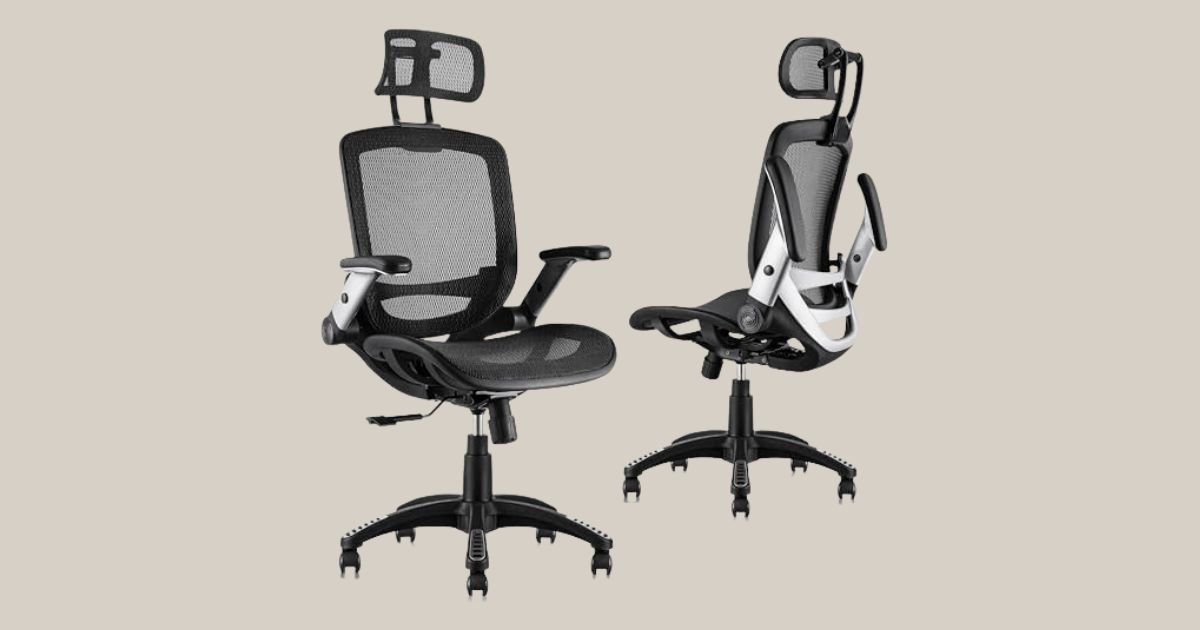 Best Ergonomic Office Chair for Lower Back Pain