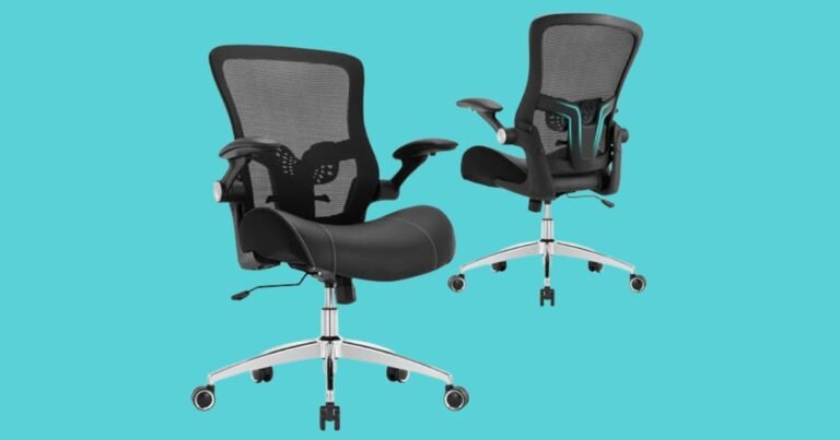 Best Office Chair for Back Pain under $300
