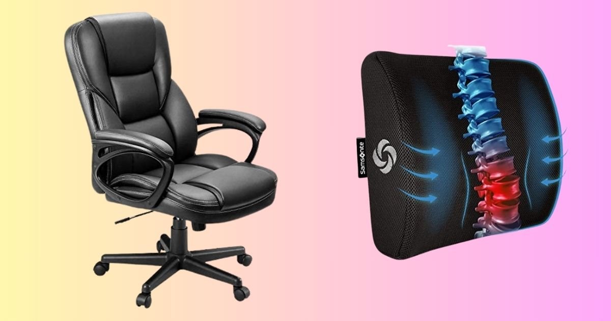 Best Office Chair for Back Support And Comfort