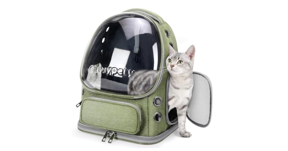 Best Travel Backpacks for Flying With Cats