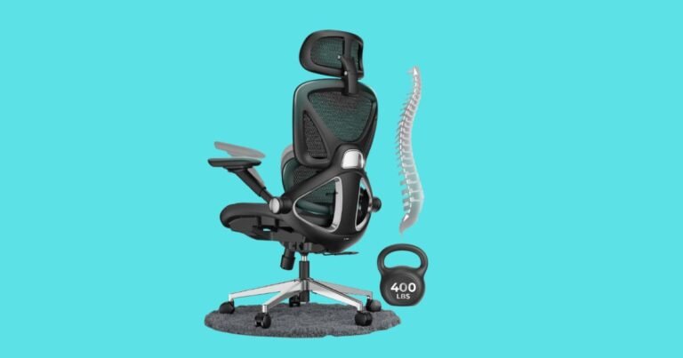 Best Desk Chair for Your Back