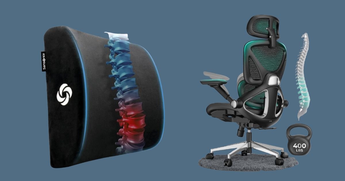 Best Chair for Back Pain Amazon