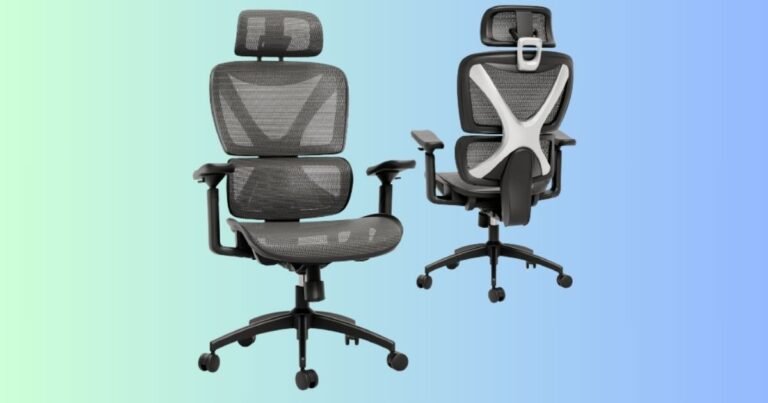 Best Chair for Lower Back Pain