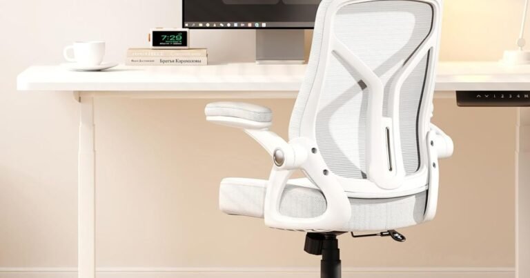 Best Chair Design for Back Pain