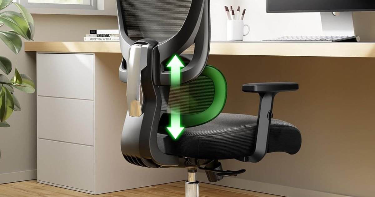 Best Computer Chair for Back Pain