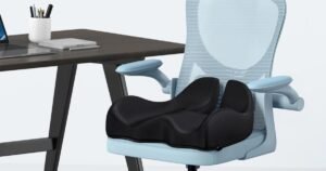 Best Back Support for Work Chair