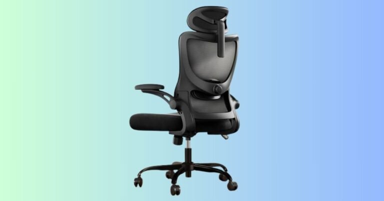 The Best Chair for Back Pain