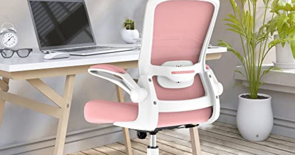 Best Desk Chair for Scoliosis