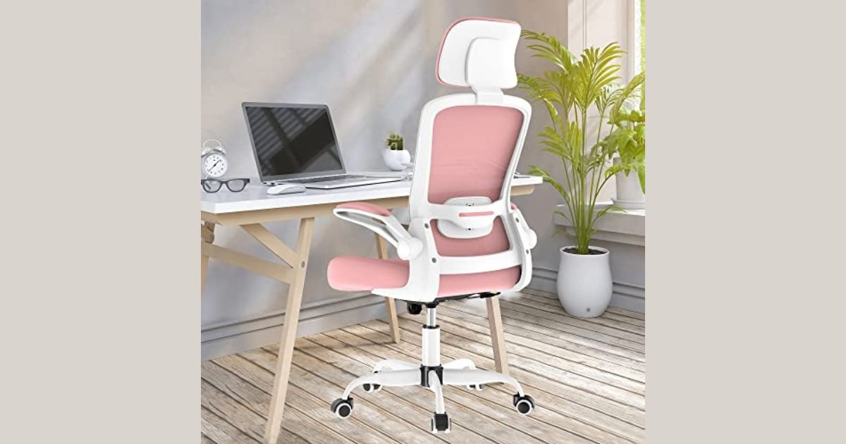 Best Desk Chair for Remote Work