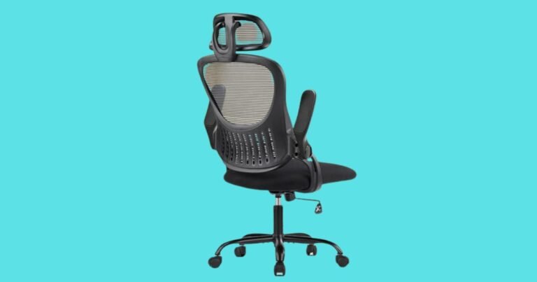 Best Desk Chair for Price