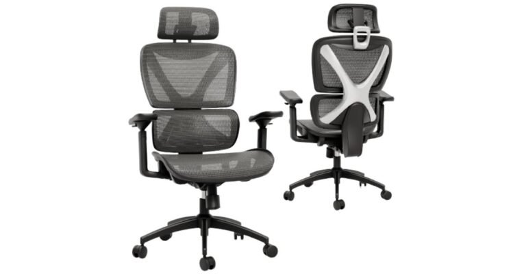 Best Chair for Back Problems