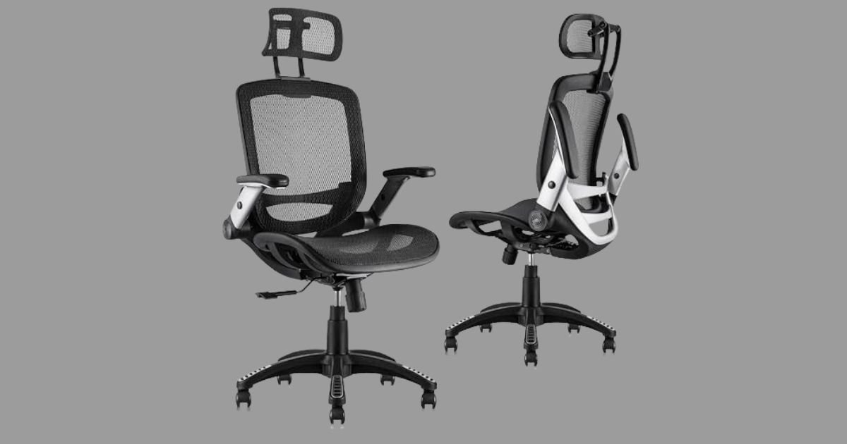 Best Chair for Back Health